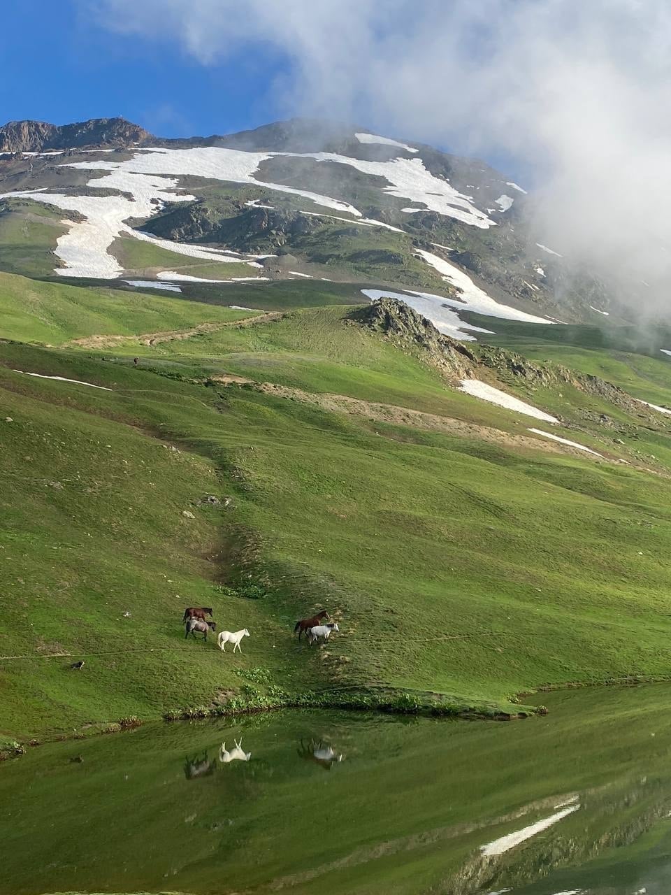 Horses on the slope above a Koruldi lake